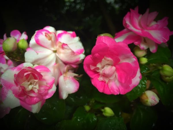 rblog-20160530192214-01.jpg