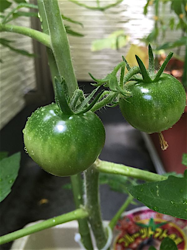 rblog-20150603035151-02.jpg