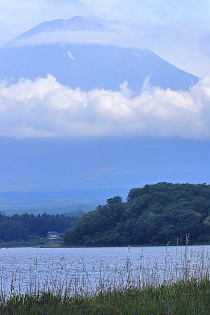 河口湖の大石公園の撮影 2 | さぶちゃんの撮影日誌！ - 楽天ブログ