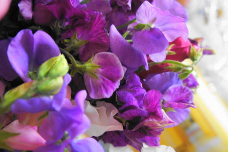 DSC00001.JPG