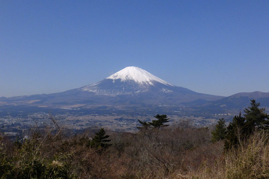 2016 02 19_1514.jpg