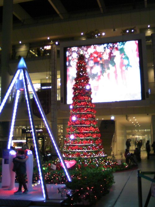 20121220_07_02aa.jpg