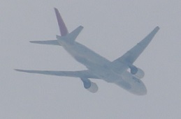 IMG_3640-2.jpg