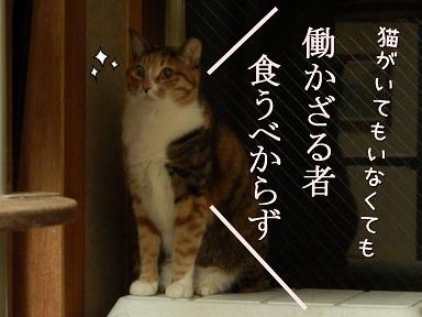 福ごもっとも.JPG