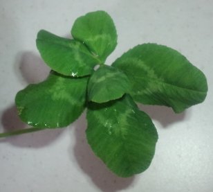 20120505-6