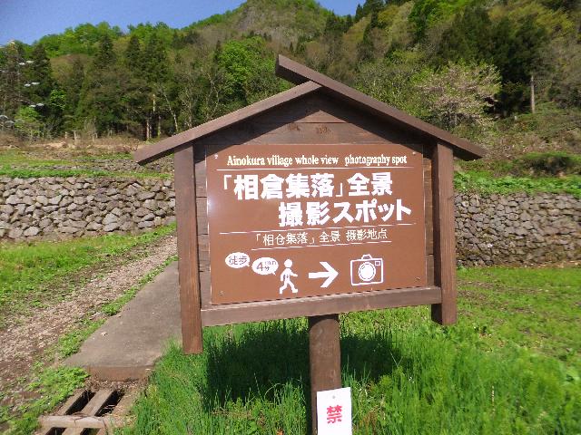 DSCF9954.jpg