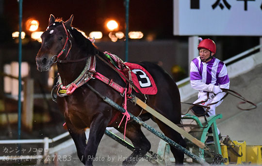 03KanshanoKokoro092114_02