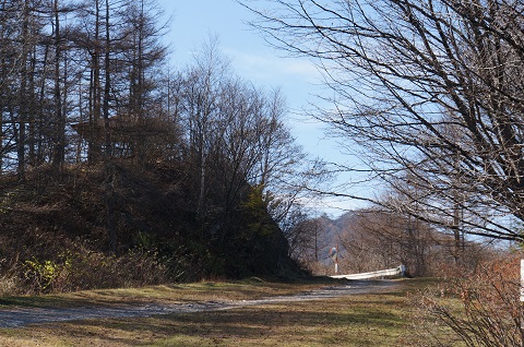 DSC03546.JPG