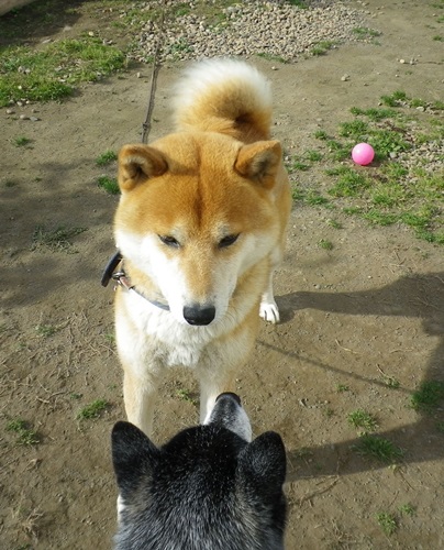 そして見つめ合う