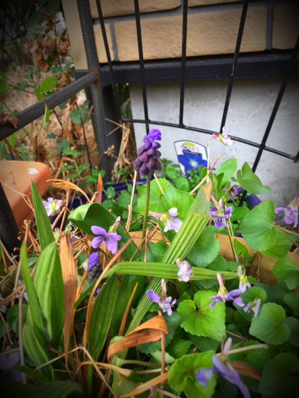 rblog-20160330184331-08.jpg