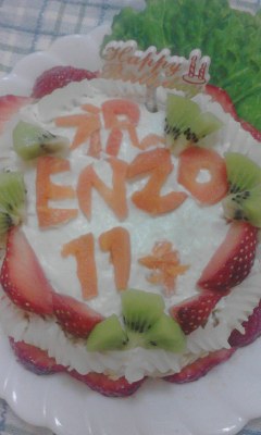 2013.ENZO.cake