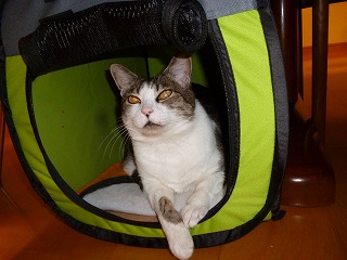 P1290555ss.jpg