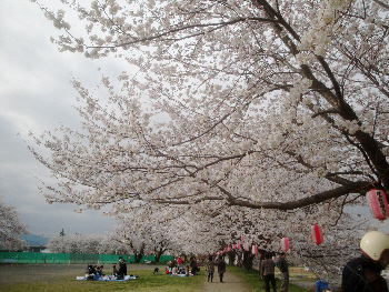 2013/03/26(3)
