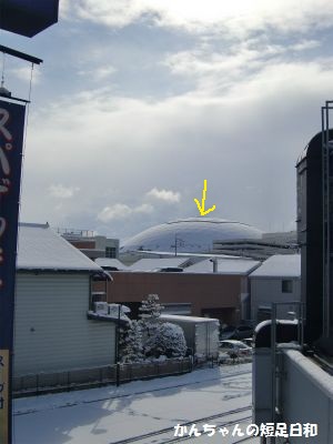 ナゴヤドーム雪景色