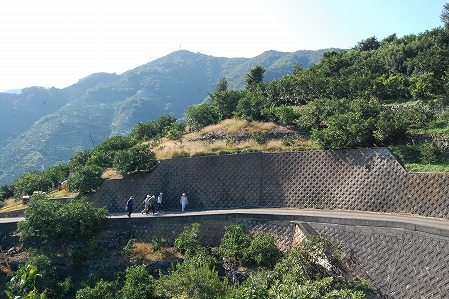 s-DSC_0602.jpg
