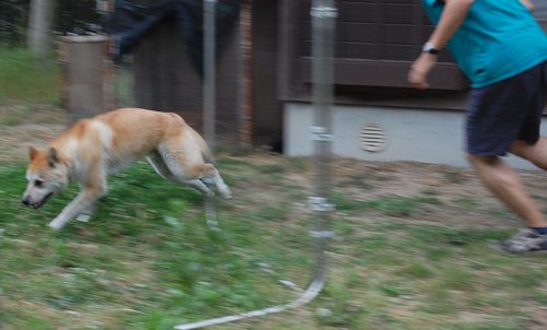 DSC_0089.JPG