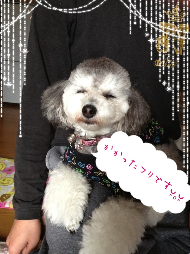 20121029b.JPG