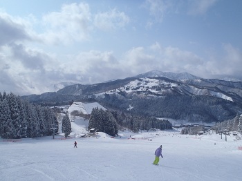 P2101517.JPG