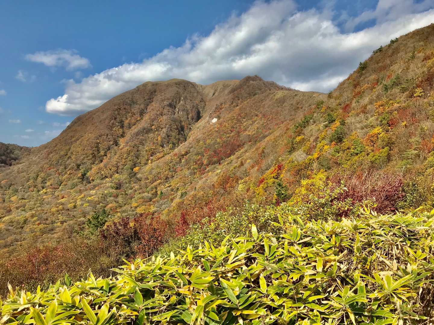 三瓶山 登山2 | のん木ぶろぐ - 楽天ブログ