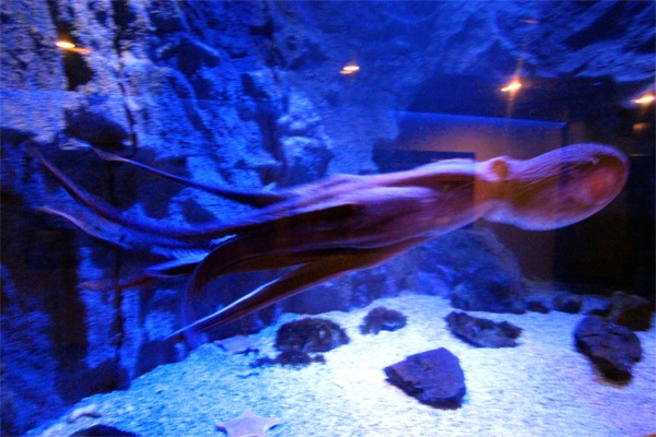 IMG_6166.JPG