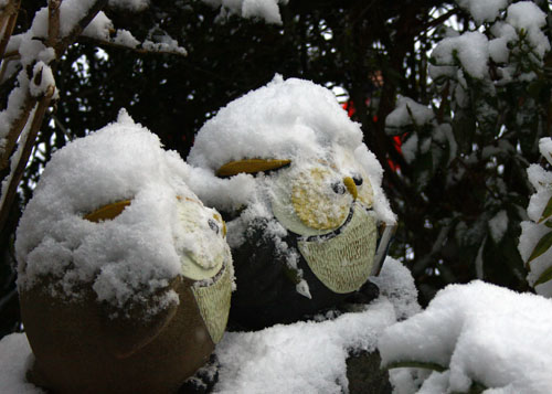 雪の朝　28.1.19-7_edited-1.jpg