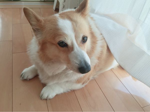 rblog-20160302212330-04.jpg