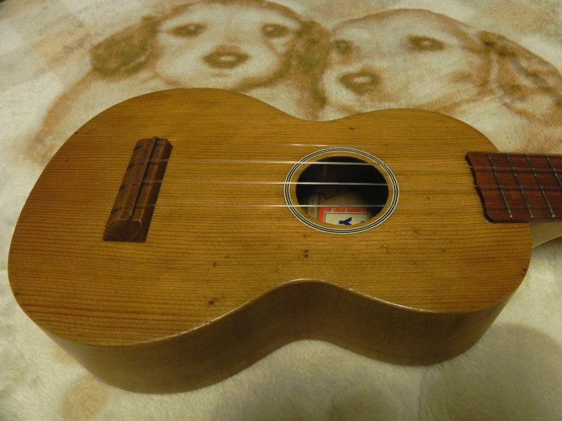 DSCN3279.JPG