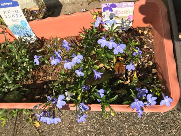rblog-20180408160230-03.jpg