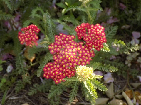 DSCN2188.JPG
