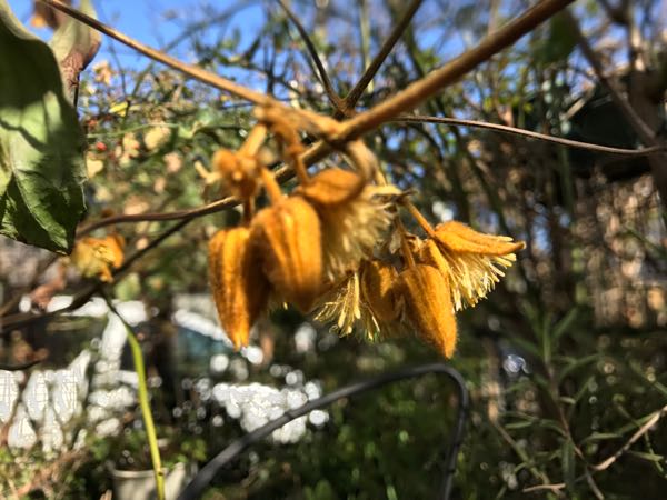 rblog-20170203081301-00.jpg