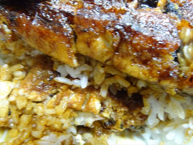 DSC06429_R.JPG