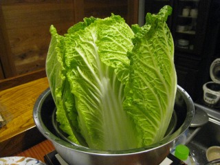 IMG_1861.jpg