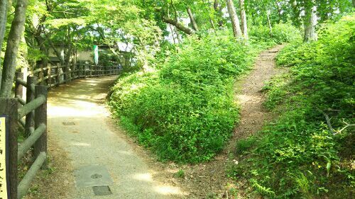 rblog-20180529163812-07.jpg