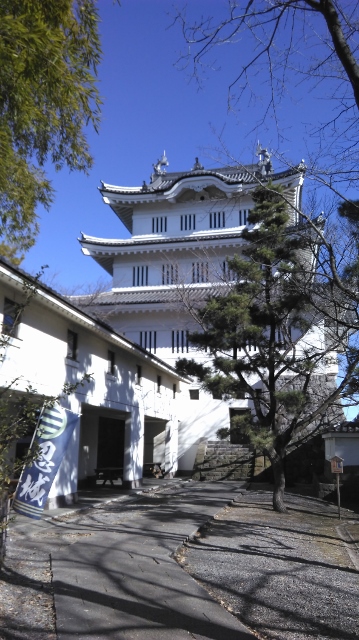 忍城（のぼうの城）