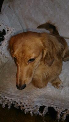 011602.jpg