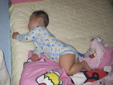 IMG_3986m.JPG