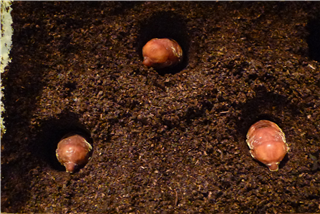 P1040271.png