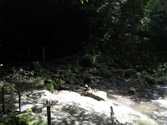 DSCF5743.JPG