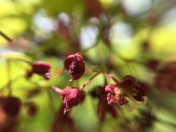 rblog-20170605235911-02.jpg