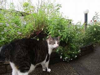 IMG_8885ss.jpg