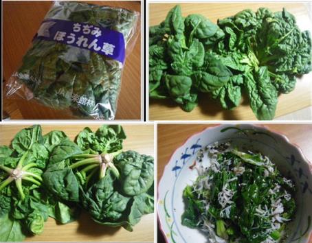 ちぢみほうれん草