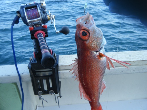 DSCF1646.JPG