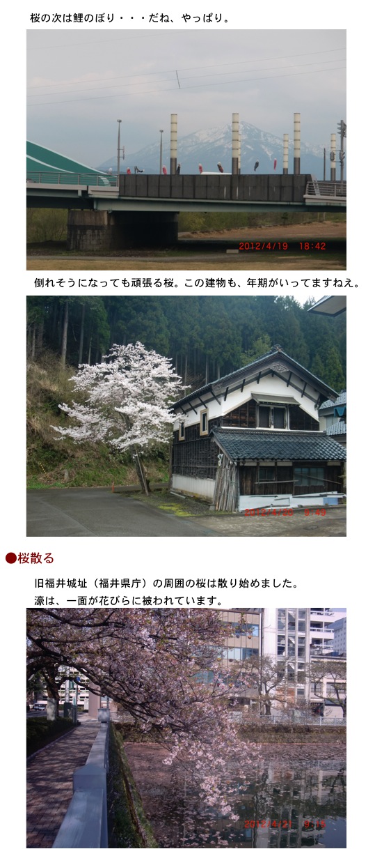 2012.04.20-3.jpg