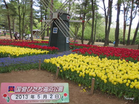 IMG_5283.JPG