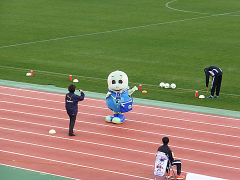 P1260204.jpg