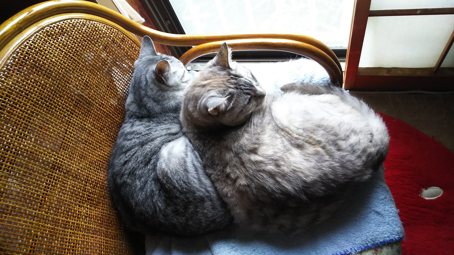 DSC_0491.JPG