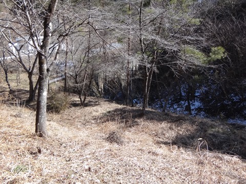 DSC03703.JPG