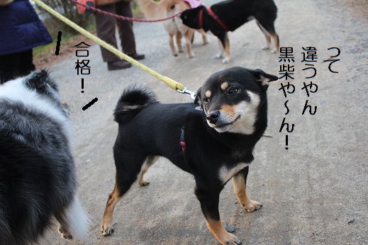 合格