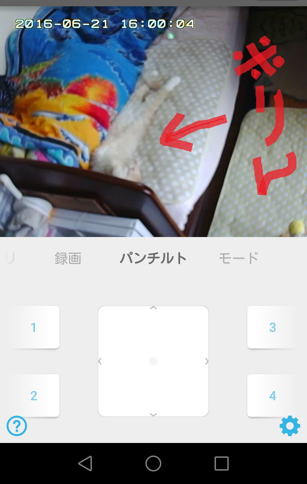 カメラ画像1.jpg