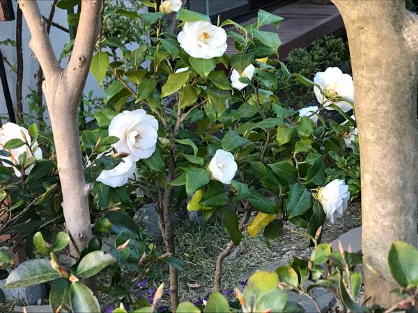 rblog-20180408182201-00.jpg